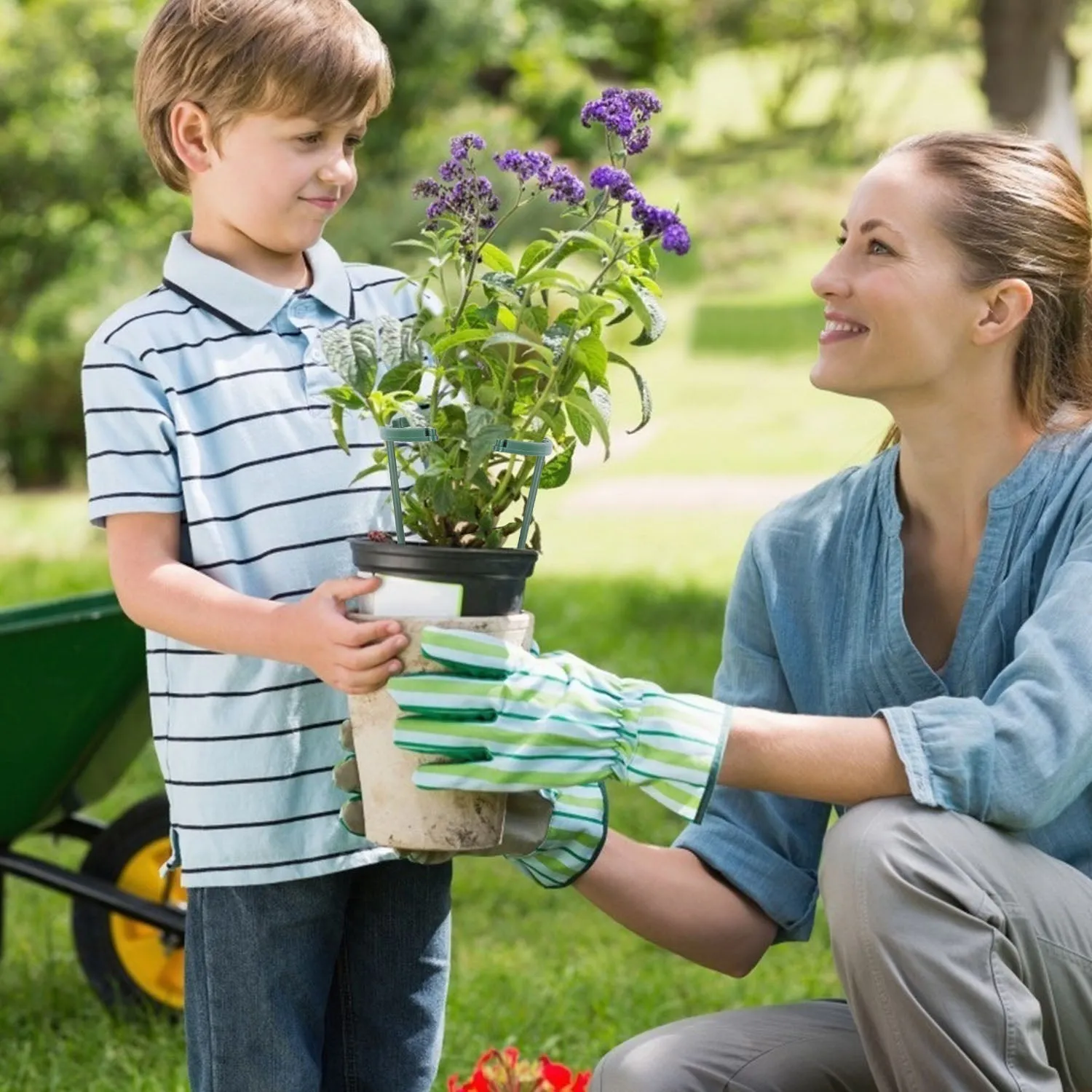 15-Piece: Garden Plant Support Stakes