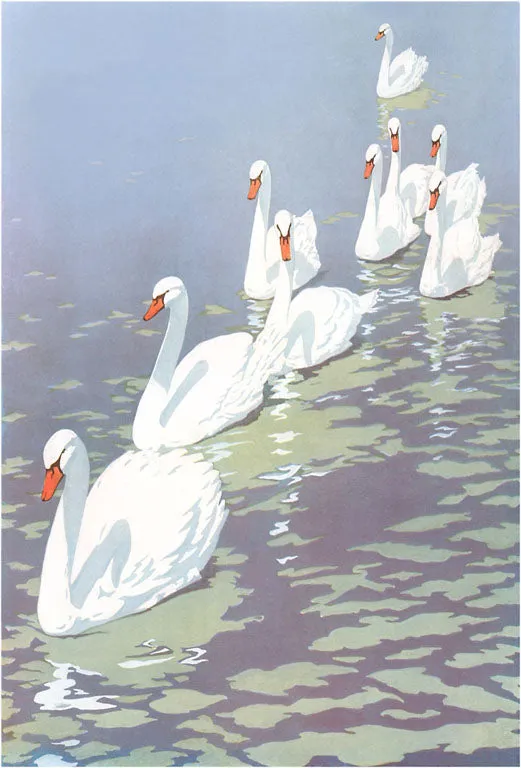 BD-128 Swans in Line - Vintage Image