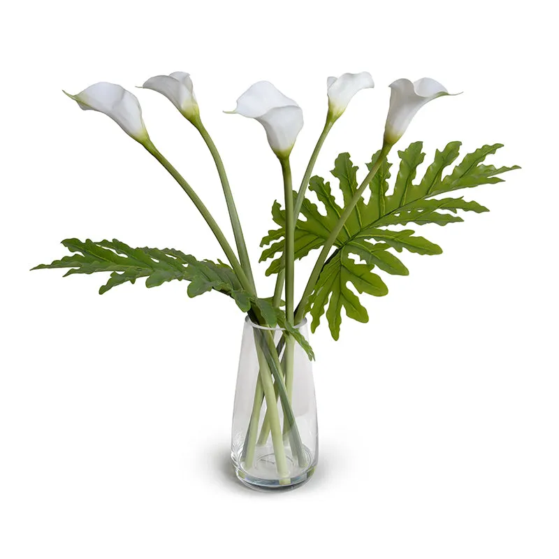 Calla Lily Stems & Philo Leaves in Glass 29"H