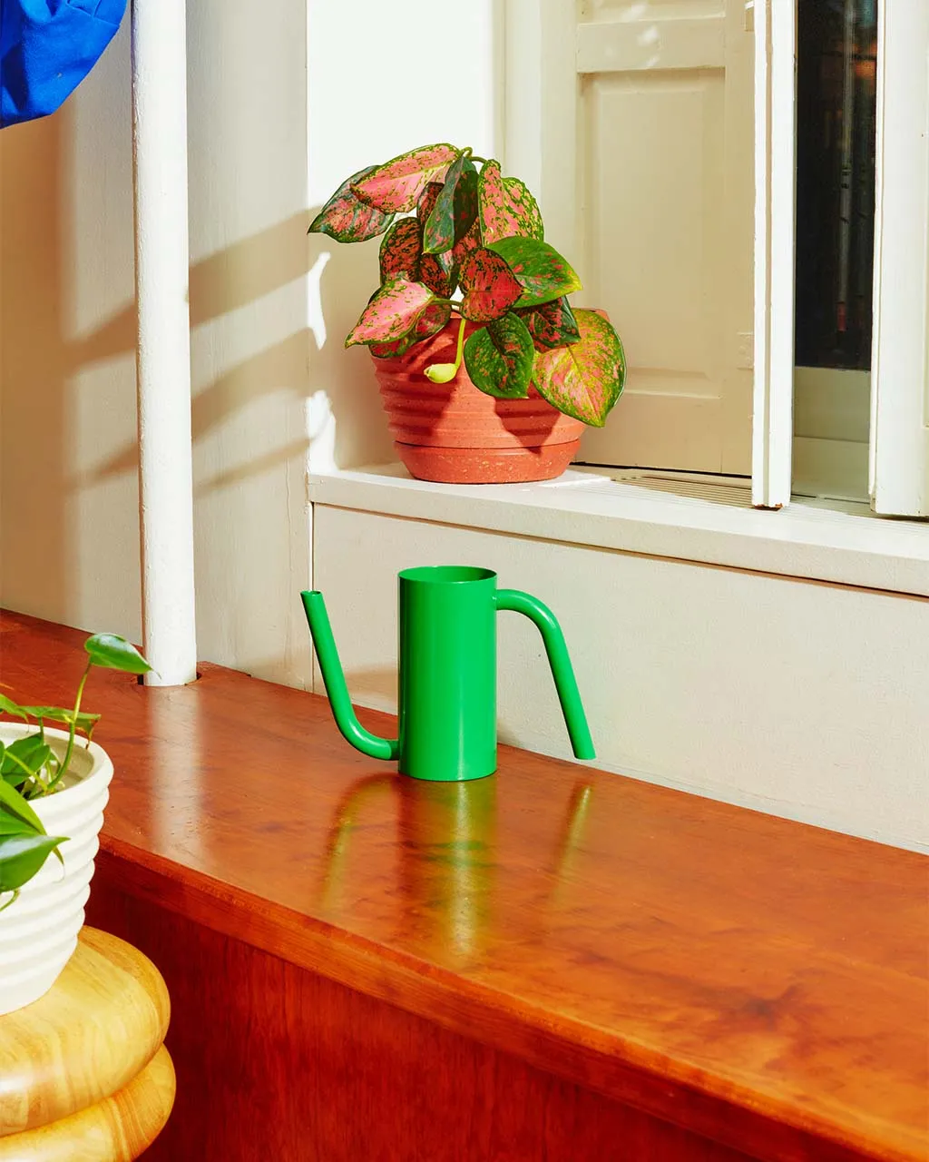 Green Tango Watering Can