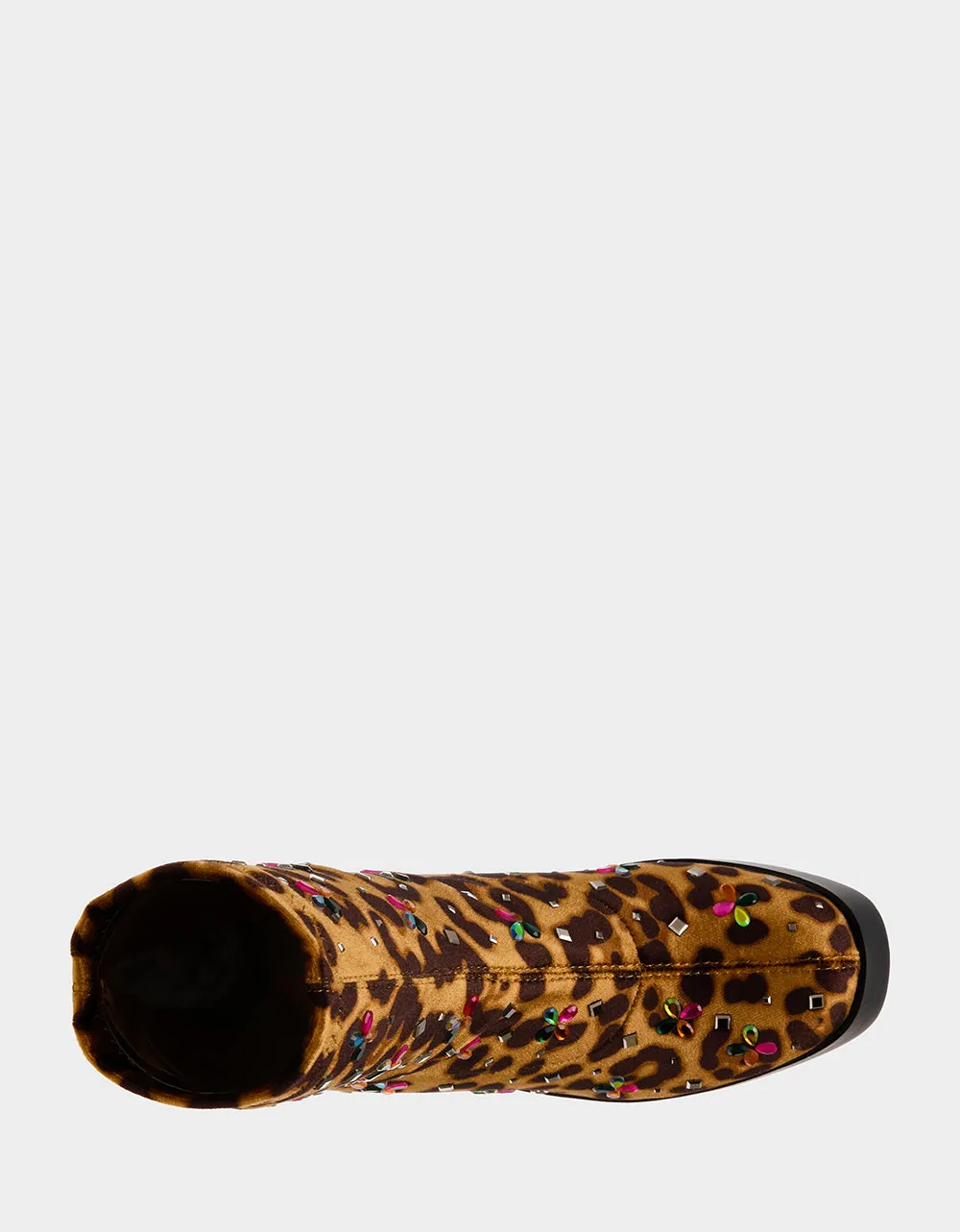 HARRIET LEOPARD