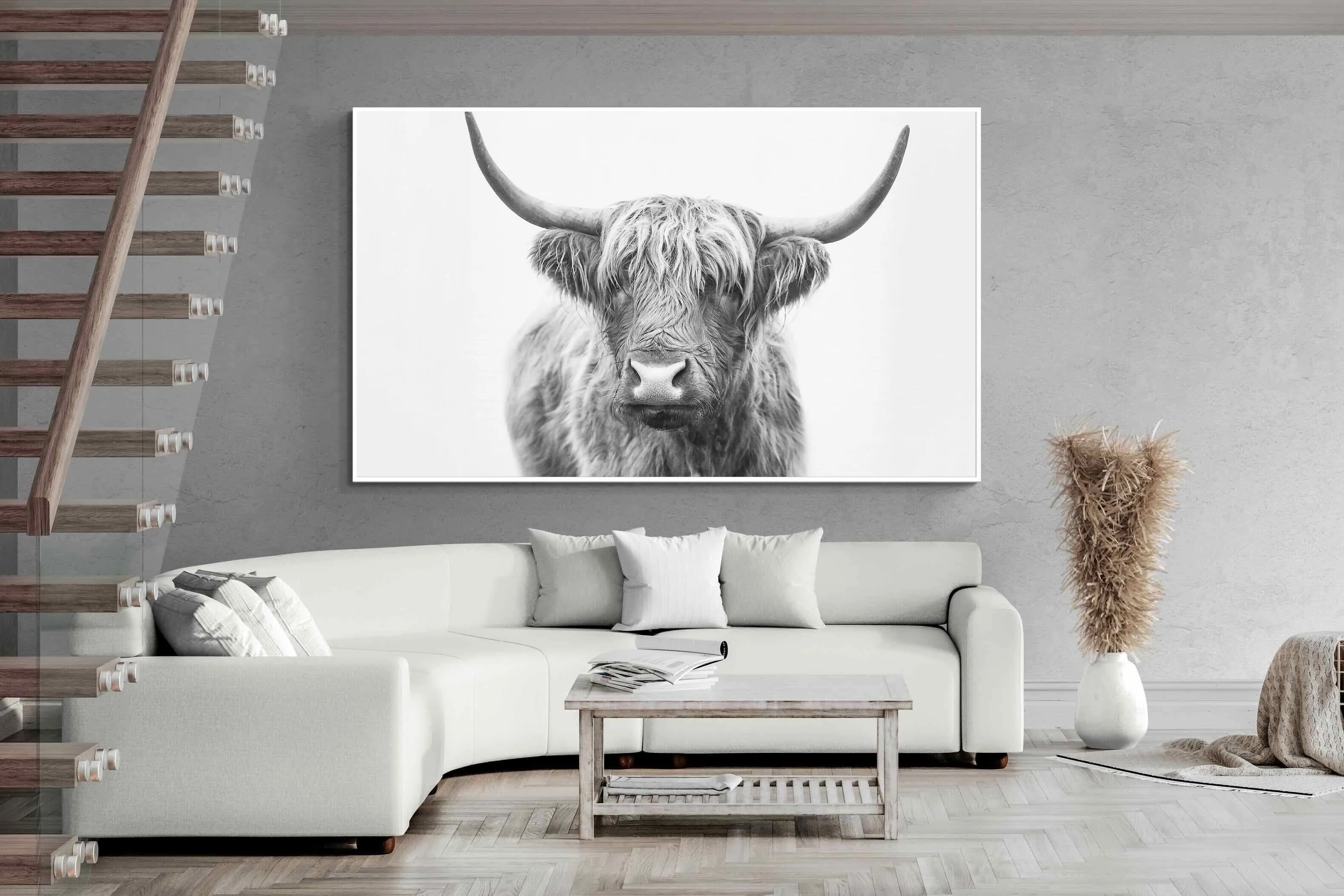 Highland Bull