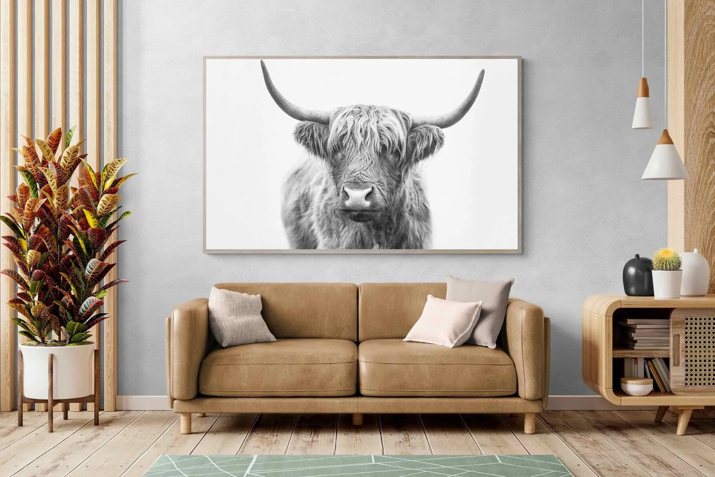 Highland Bull