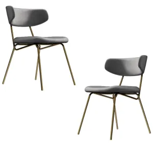 Kylie Modern Slategrey Dining Chair with Gold Legs Set of 2