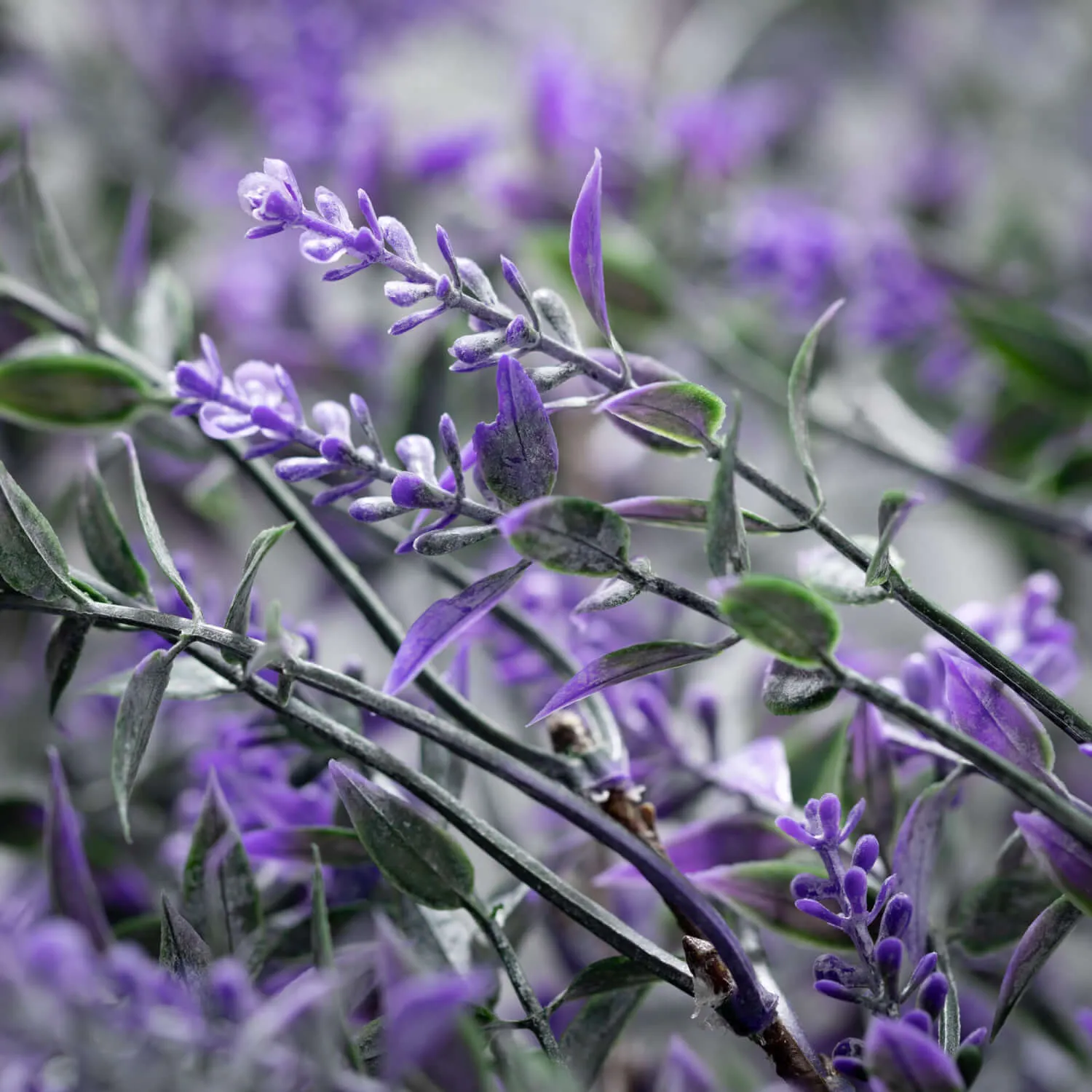 Lavender Drape Greenery