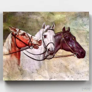 Majestic Three Horses Painting Kit to Paint by Numbers