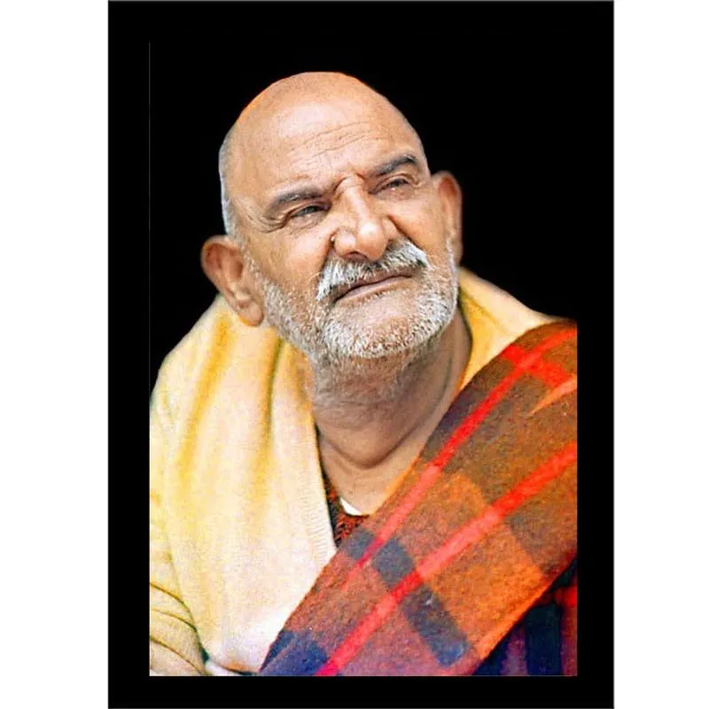 Neem Karoli Baba Photo Frame, Medium Size, Tabletop or Wall Mount, Graceful Smile Image-8x12 inch-107