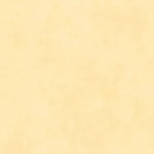 Shadowplay Graceful - Corn Silk Yellow