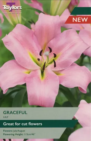 Taylors Bulbs Graceful Lily