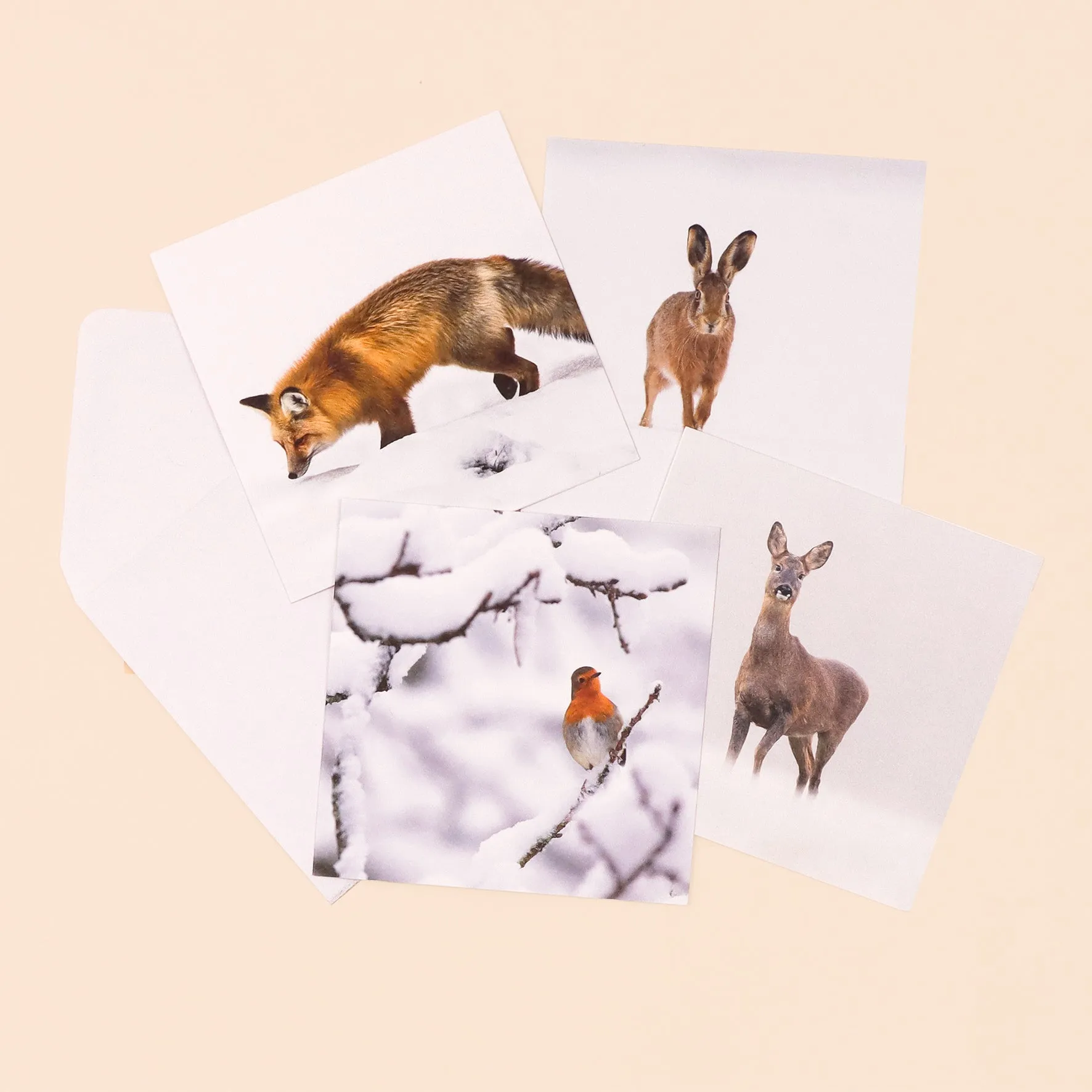 UK Nature Photography cards (multipack of 8)