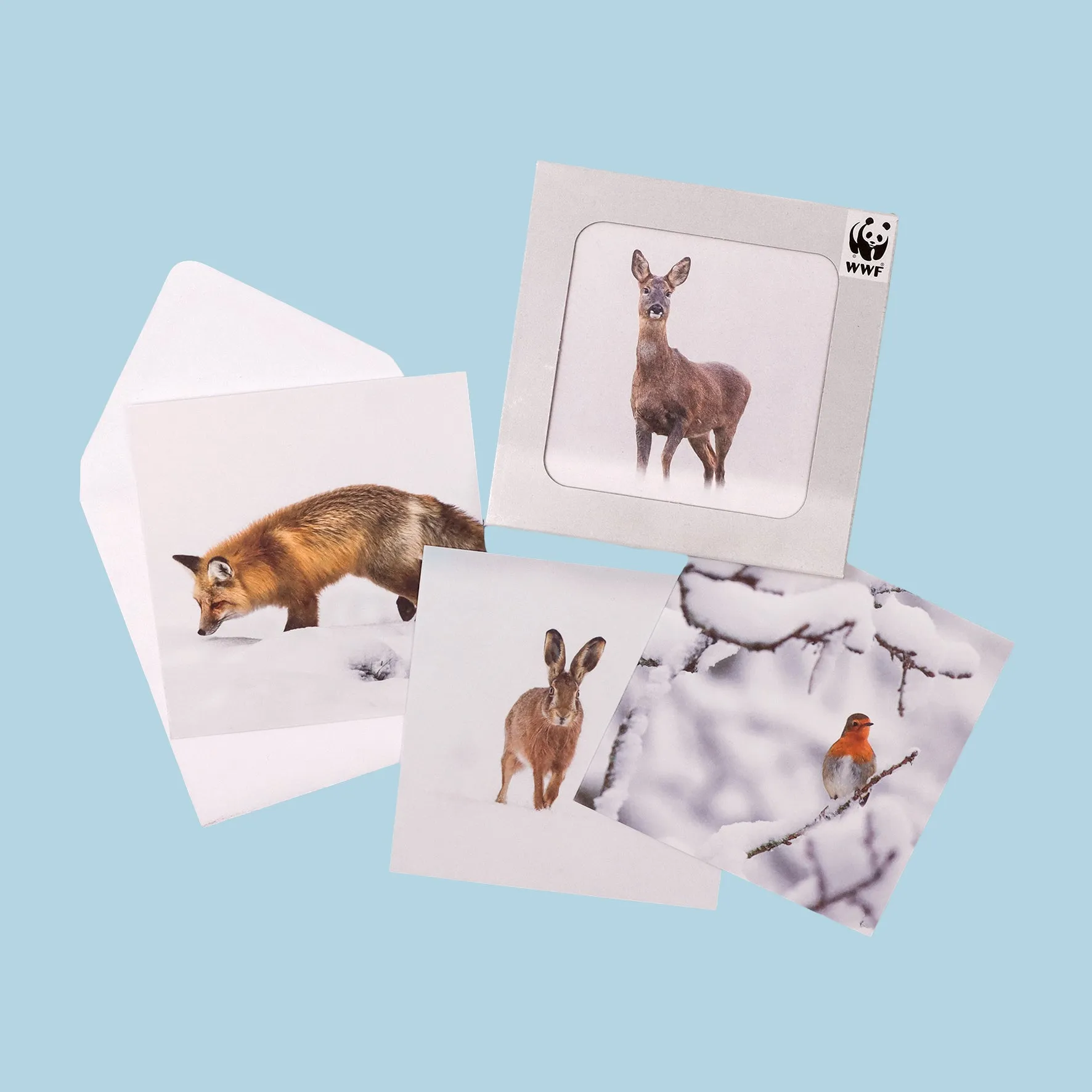 UK Nature Photography cards (multipack of 8)