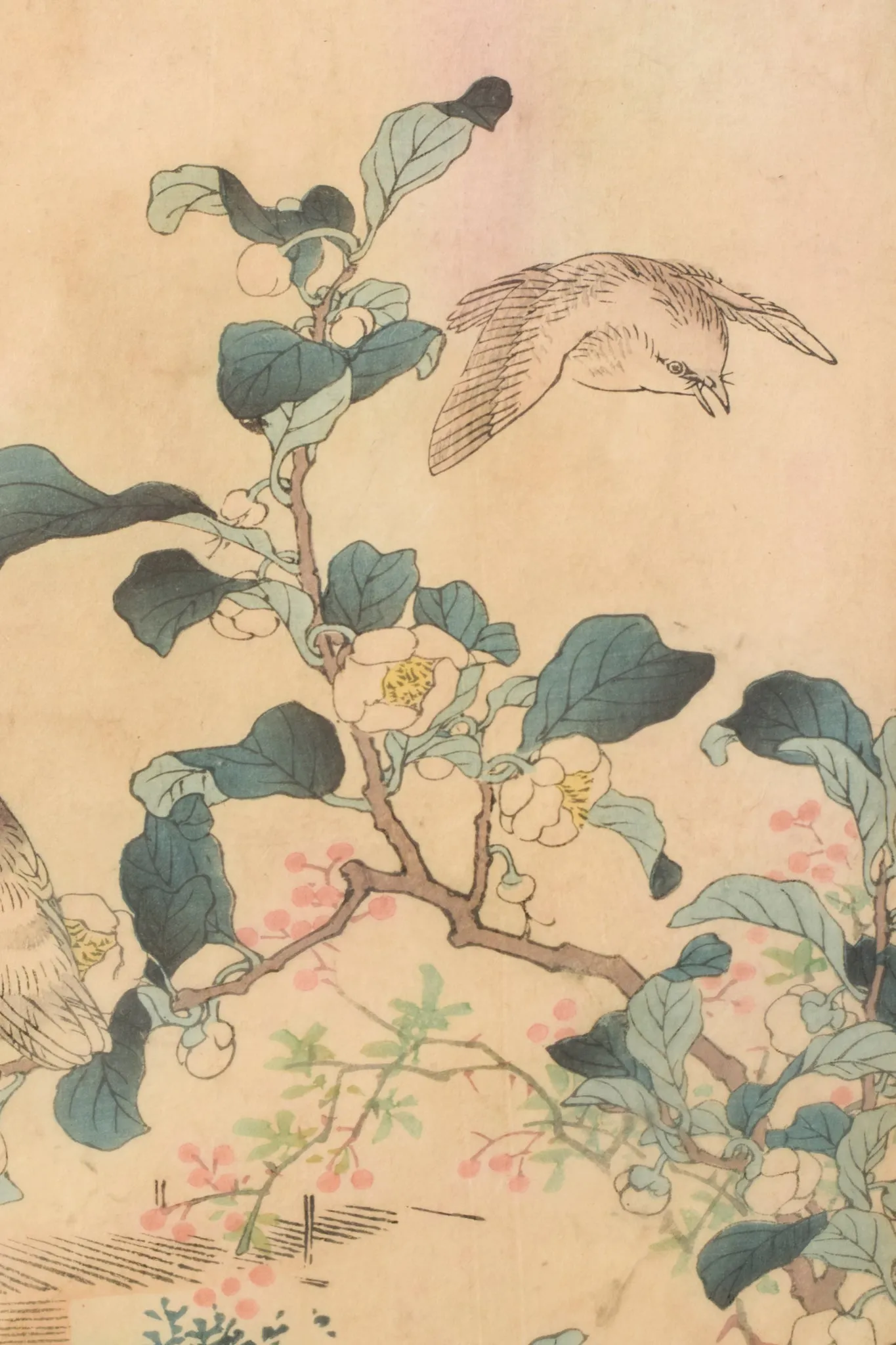 Woodblock - Birds