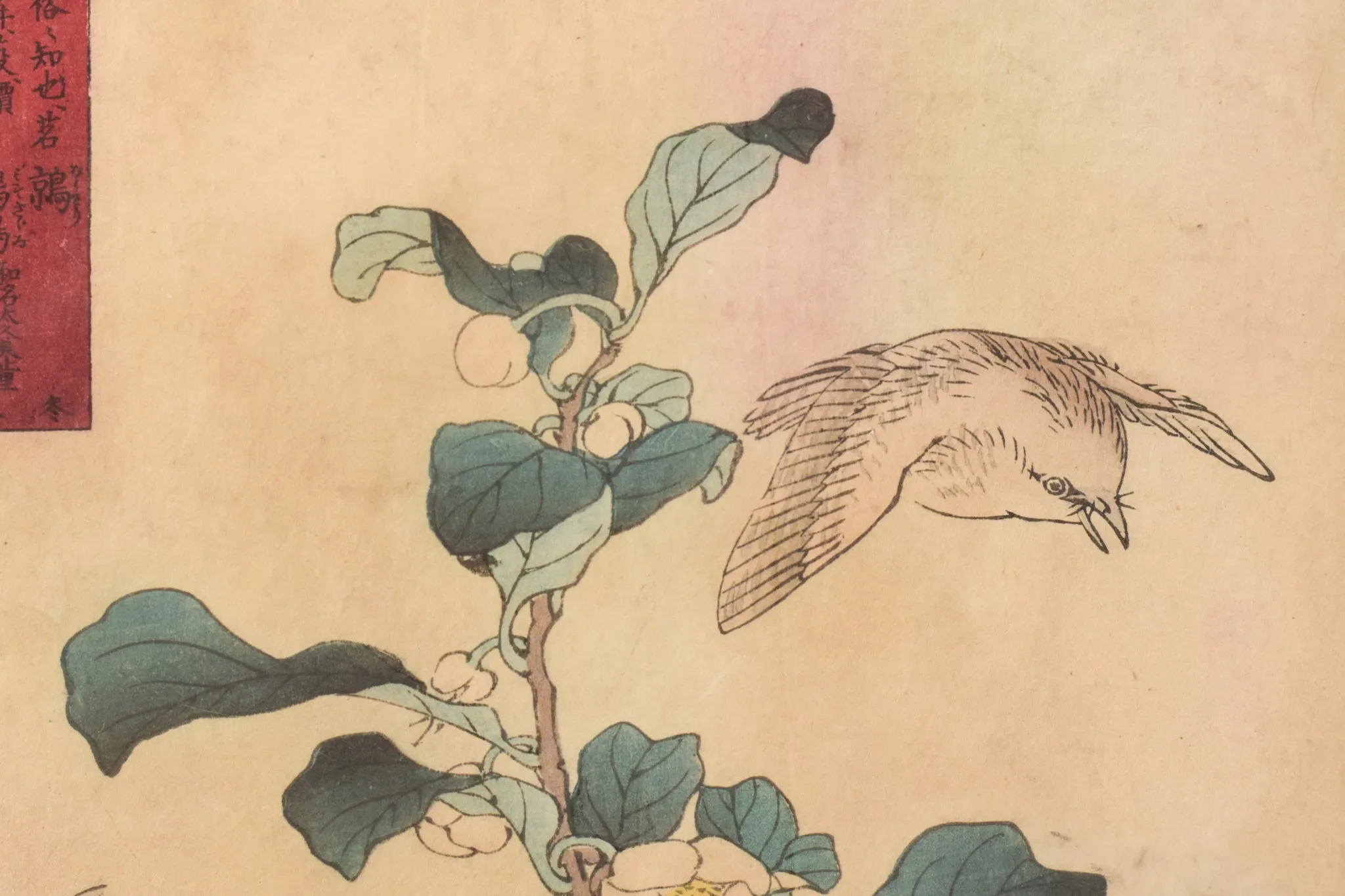 Woodblock - Birds